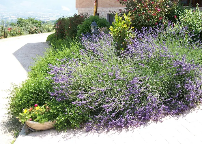 Casa de Campo La Collina Del Sagrantino Montefalco